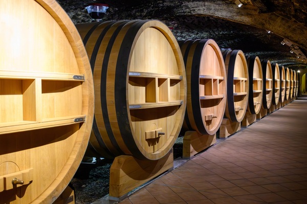 Ramble down the Rhône Masterclass