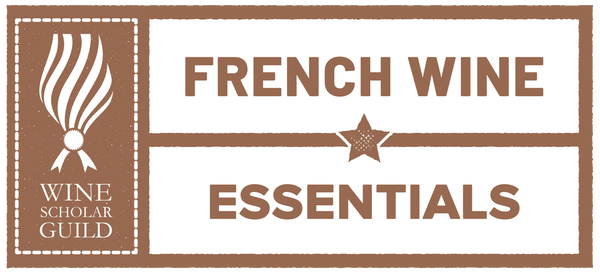 French Wine Essentials