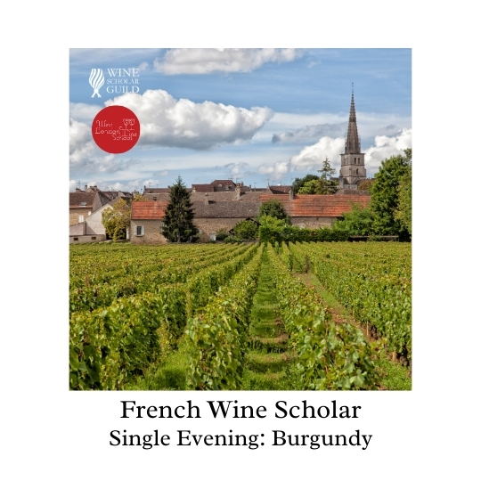 French Wine Scholar: Bourgogne Evening