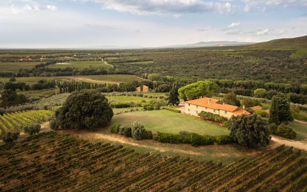 MEET THE WINEMAKER: Classic Bolgheri with Luca of Grattamacco