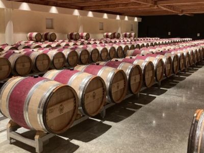 Introduction to Red Wines