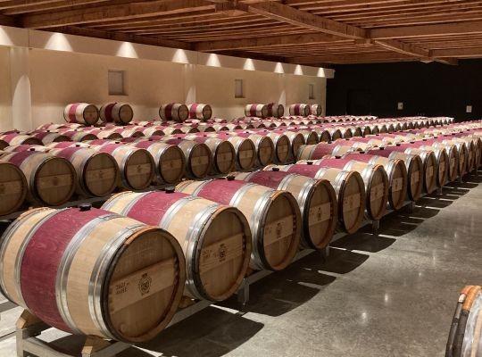 Introduction to Red Wines