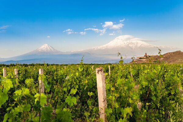 Wines from ARMENIA