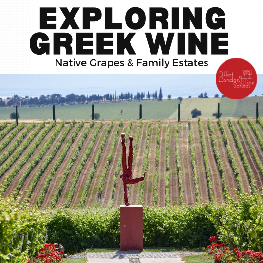 Exploring the Diversity of Greek Wine: Native Grapes & Family Estates