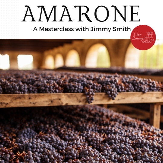 Amarone Masterclass with Jimmy Smith