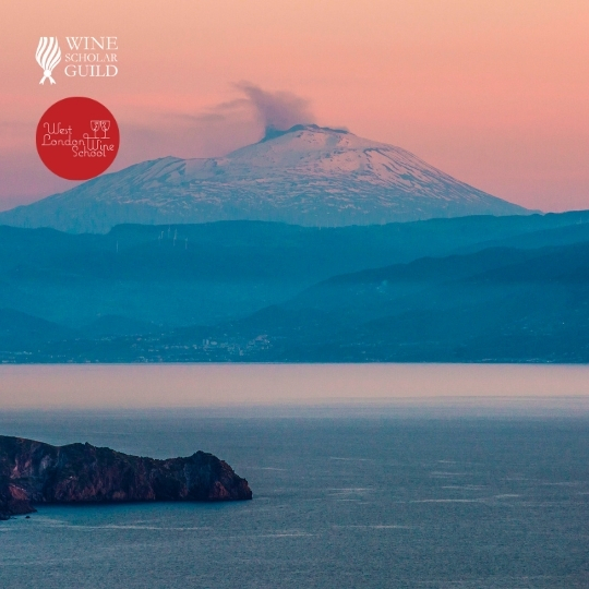 Italian Wine Scholar - Unit 2 - Calabria & Sicily