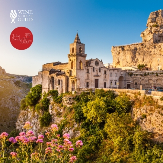 Italian Wine Scholar - Unit 2 - Campania & Basilicata