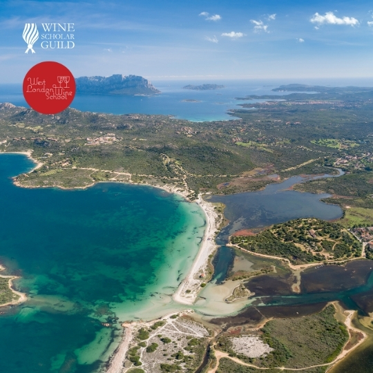 Italian Wine Scholar - Unit 2 - Puglia & Sardegna