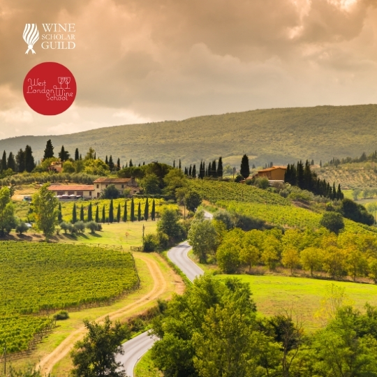 Italian Wine Scholar - Unit 2 - Toscana (Part 2)