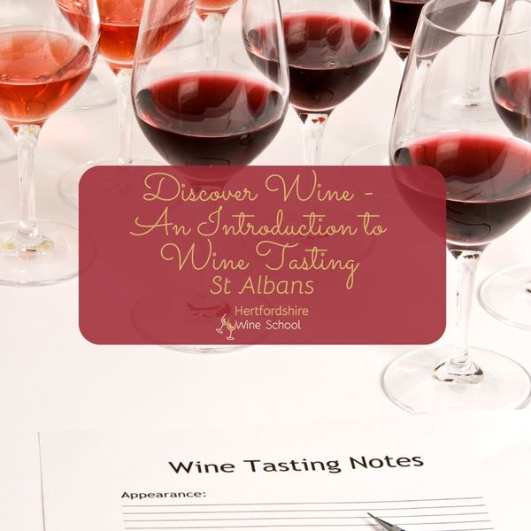 Discover Wine - An Introduction to Wine Tasting - St Albans