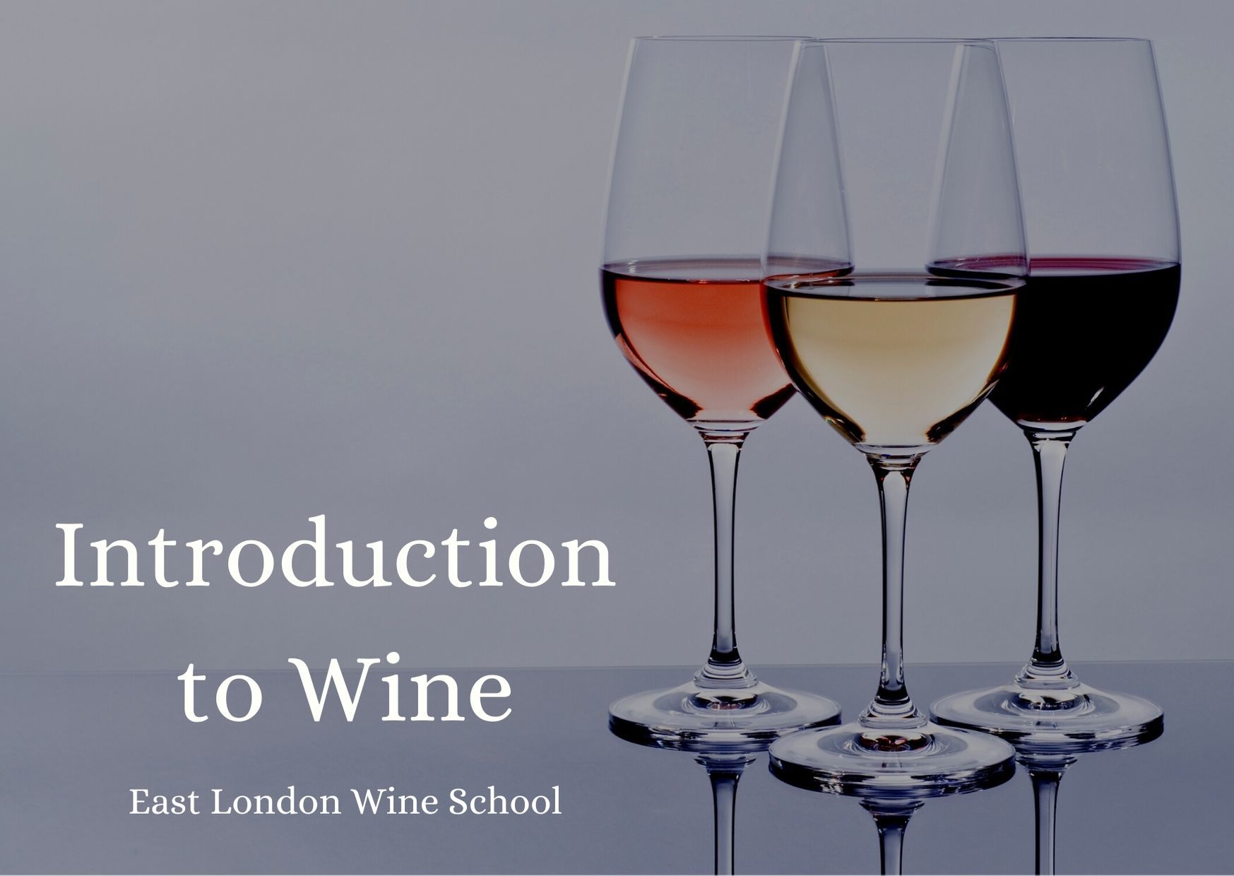 Intro To Reds From Around The World East London Wine School Wine