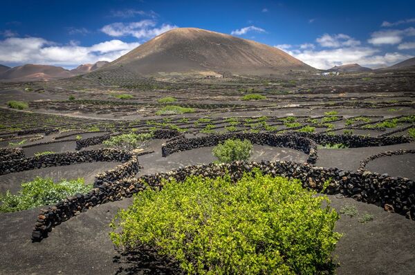World of Wine 2: Islands and Volcanoes
