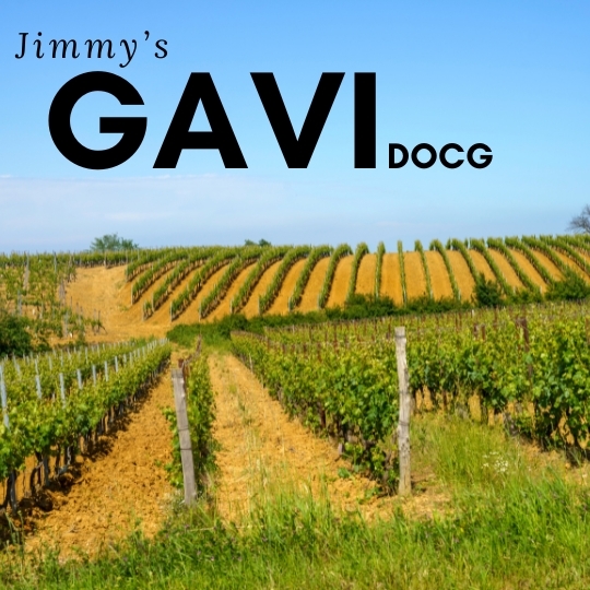 Italian Masterclass: Jimmy's Gavi DOCG : West London Wine School - WSET ...