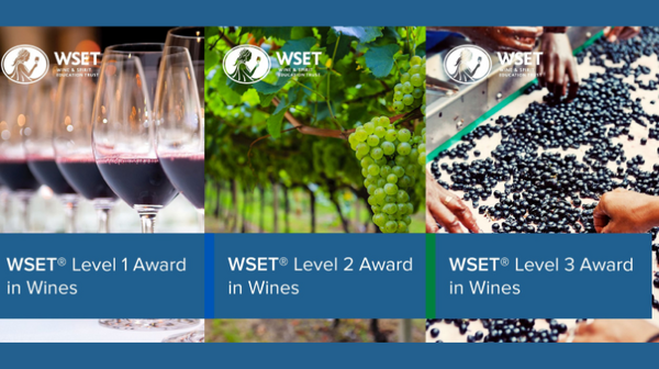 WSET L1, L2 & L3 Wine Bundle