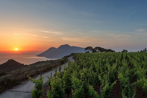 ONLINE: Lipari, Italy's Hidden Island Gem with Tenuta di Castellaro