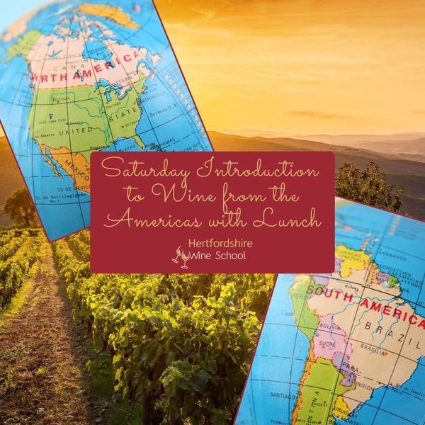 Saturday Introduction to Wines from the Americas with Lunch