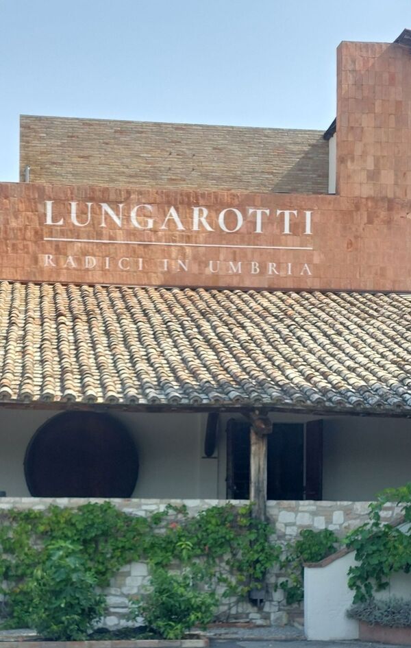 Meet the Winemaker: Lungarotti - an Umbrian Icon