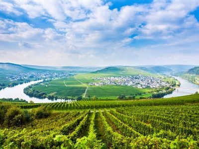 World of Wine - Germany and Austria