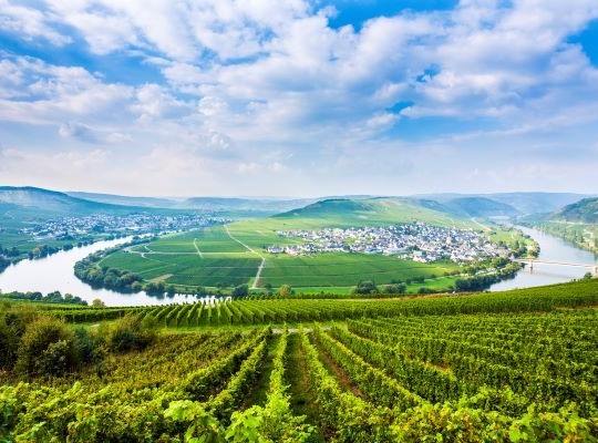 World of Wine - Germany, Austria and Hungary