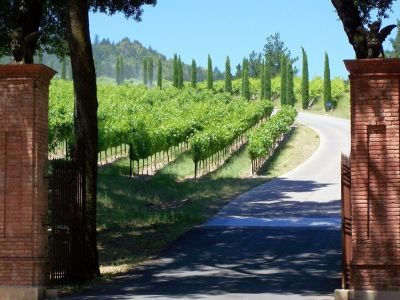 World of Wine - USA and Canada