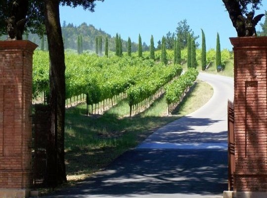 World of Wine - USA and Canada