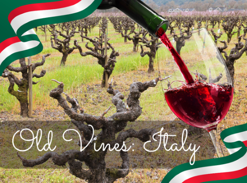 The Magic of Old Vines: Italy Edition
