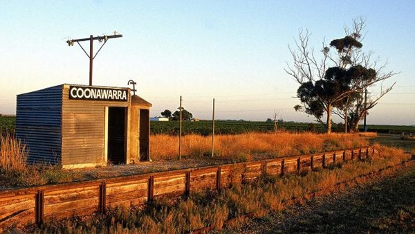 Australian Wine Icons on Australia Day