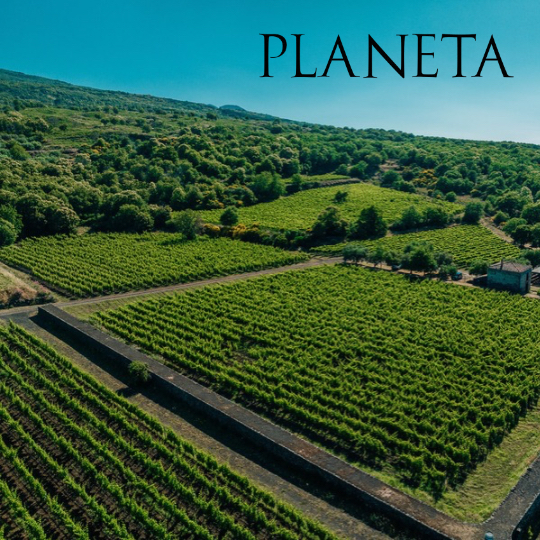 Meet the Winemaker: Patricia Tòth of Planeta, Sicily
