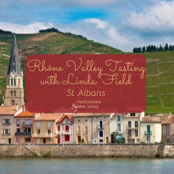 Rhône Valley Tasting with Linda Field