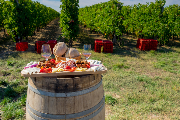 Discover the Wines of Slovenia and Romania 