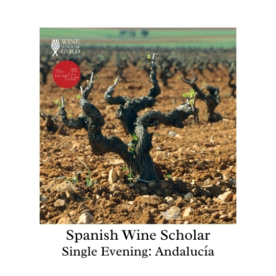 Spanish Wine Scholar: Andalucía