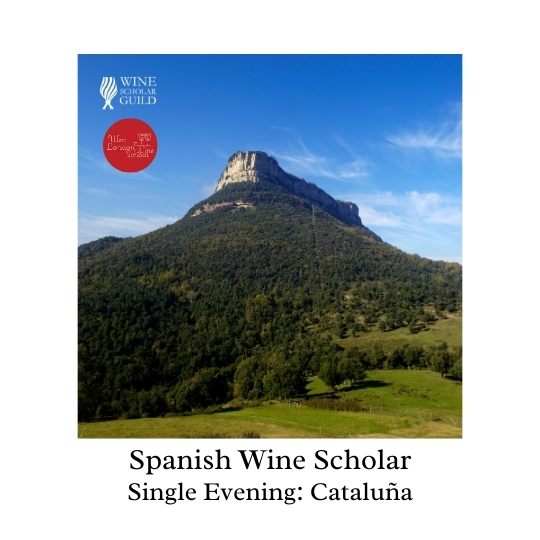 Spanish Wine Scholar: Cataluña