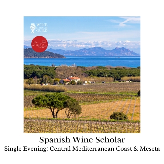 Spanish Wine Scholar: Central Mediterranean Coast & Meseta