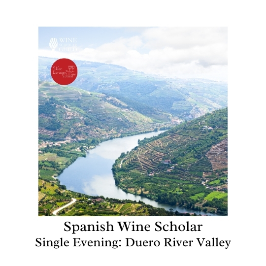 Spanish Wine Scholar: Duero River Valley (Castilla y León)