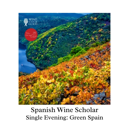 Spanish Wine Scholar: Green Spain (Galicia, Asturias, Cantabria, País Vasco)