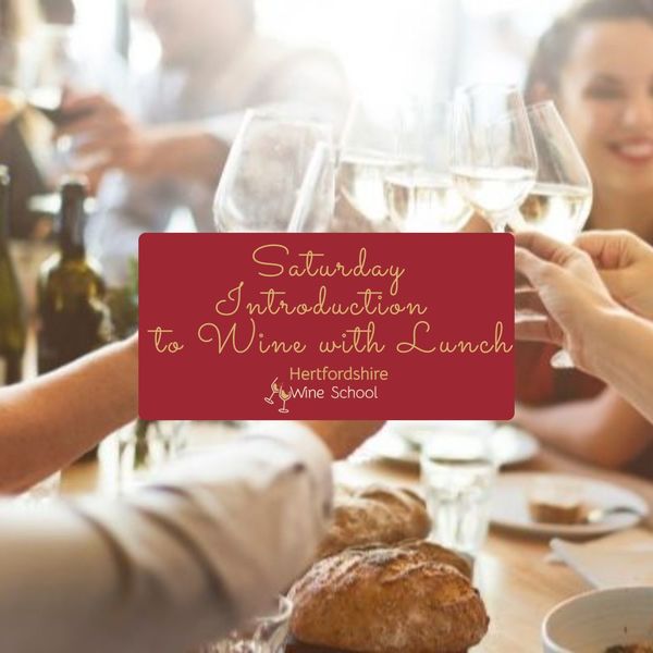 Saturday Introduction to Wine with Lunch