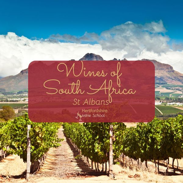 Wines of South Africa (St Albans)