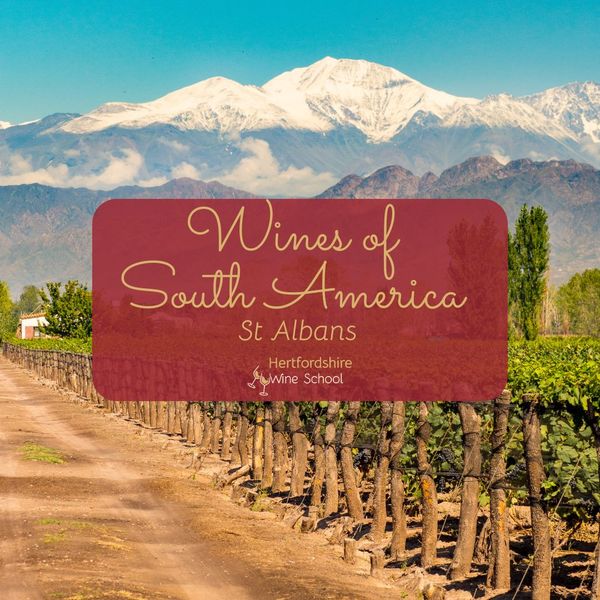 Wines of South America (St Albans)