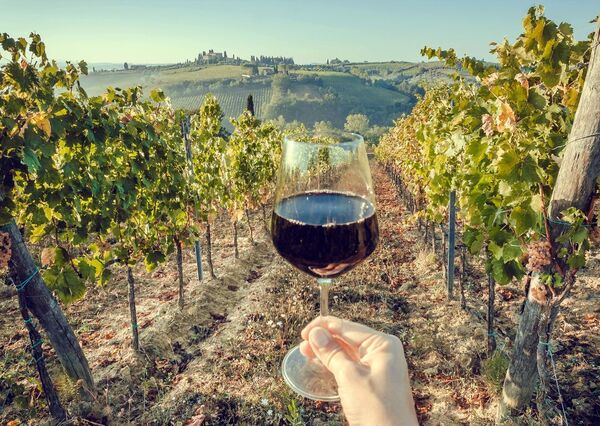 World of Wine 2: Ancient Roots and New Frontiers