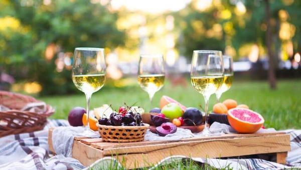 Summer Sips: Exploring Whites & Rosé