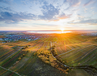 Austrian Wine Workshop