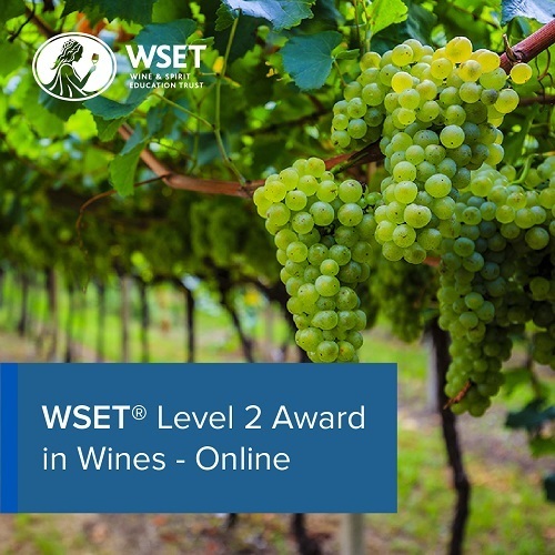 Passing the WSET Level 2 Award in Wines and Spirits