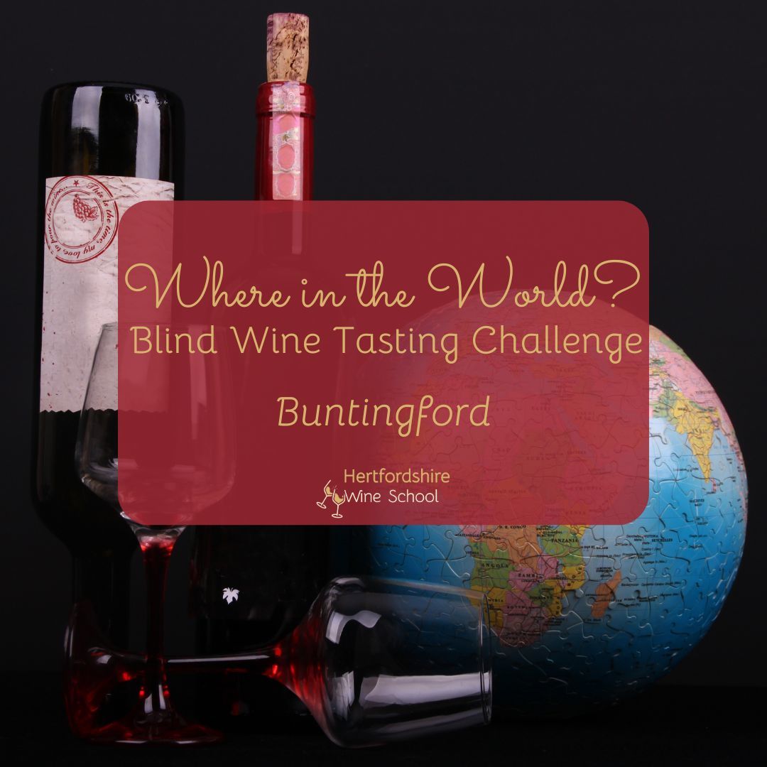 Where in the World - Blind Wine Tasting Challenge (Buntingford)