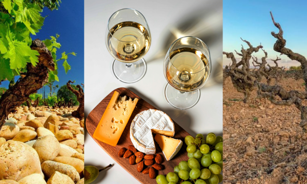 Old Vine Wines & Cheese Pairing