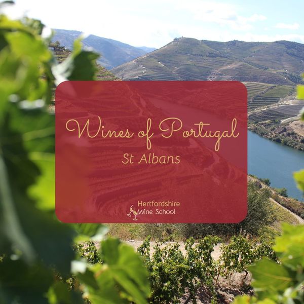 Wines of Portugal (St Albans)