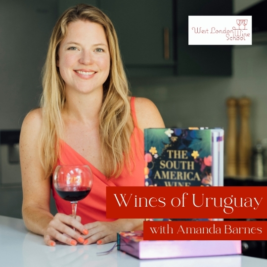 Masterclass: Wines of Uruguay with Amanda Barnes