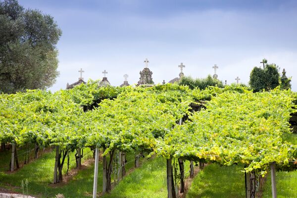 World Albariño Day tasting