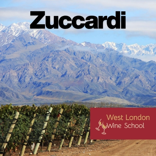 Zuccardi: Pure Mountain Wines from Argentina