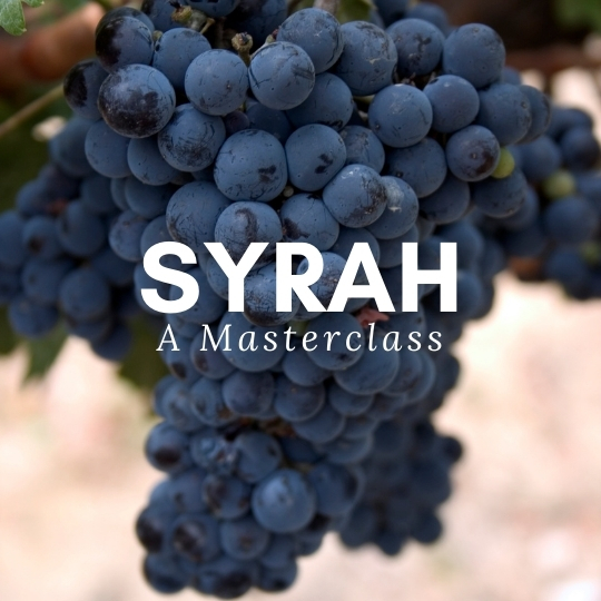 Syrah/Shiraz Fine Wine Masterclass – A Global Tasting with Jimmy Smith