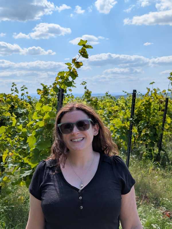 Carrie's Wines of 2025